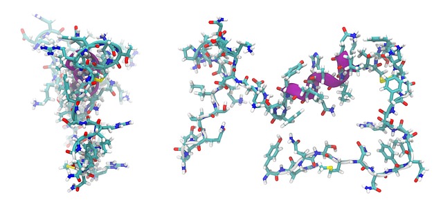 Peptide Synthesis Service
