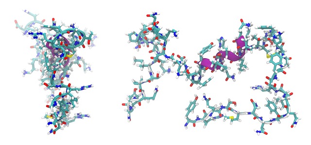 Peptide Synthesis Service