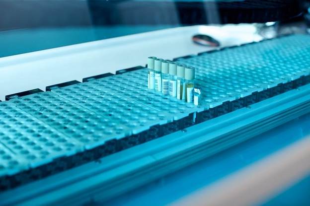 antibody protein sequencing services