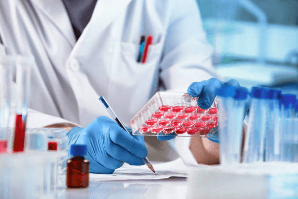 elisa immunoassay, what is an elisa test