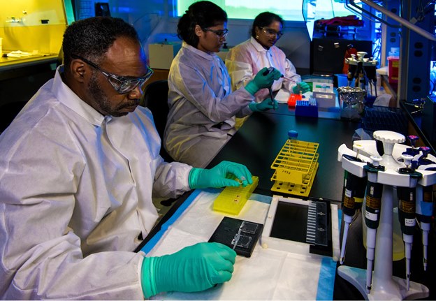 recombinant protein expression in escherichia coli