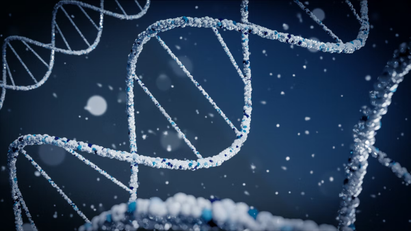 Recombinant proteins production