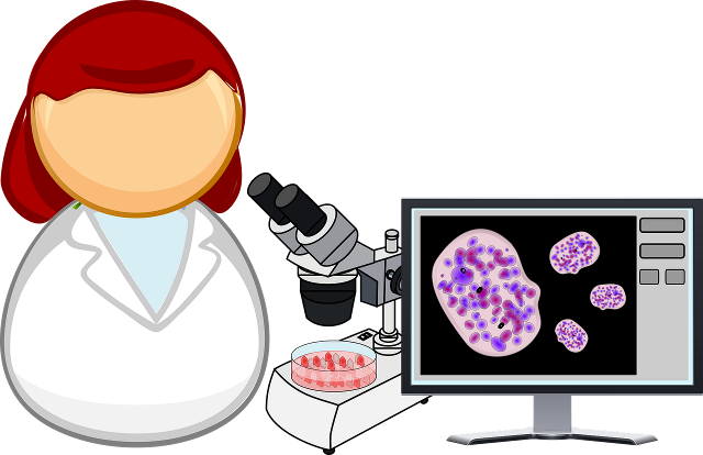 Recombinant antibody production services