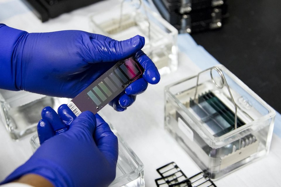 protein expression protocols, protein yield