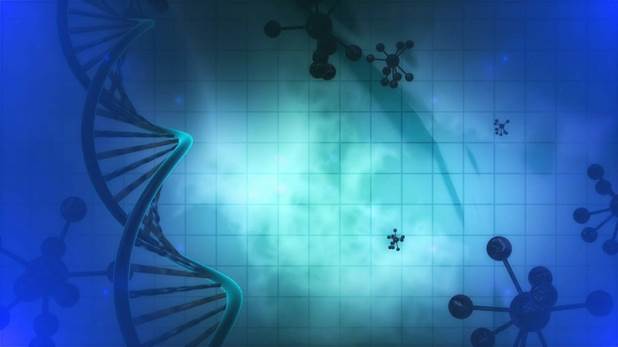 monoclonal antibody production, custom antibodies