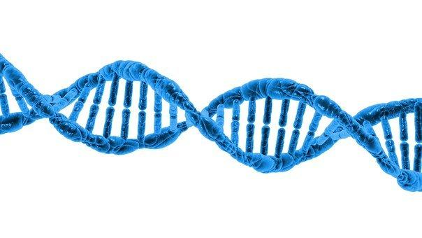 Therapeutic recombinant proteins