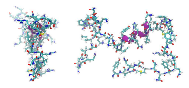 Recombinant protein production in mammalian cells