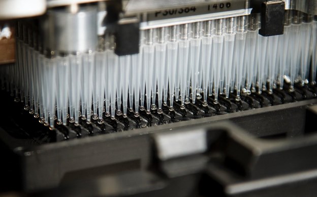 Gene Synthesis, Elisa Kits