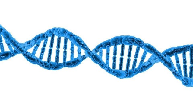 Custom Gene Synthesis, Custom Peptide Synthesis