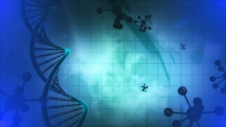 Recombinant antibody production protocol