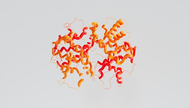 custom protein expression, custom protein production